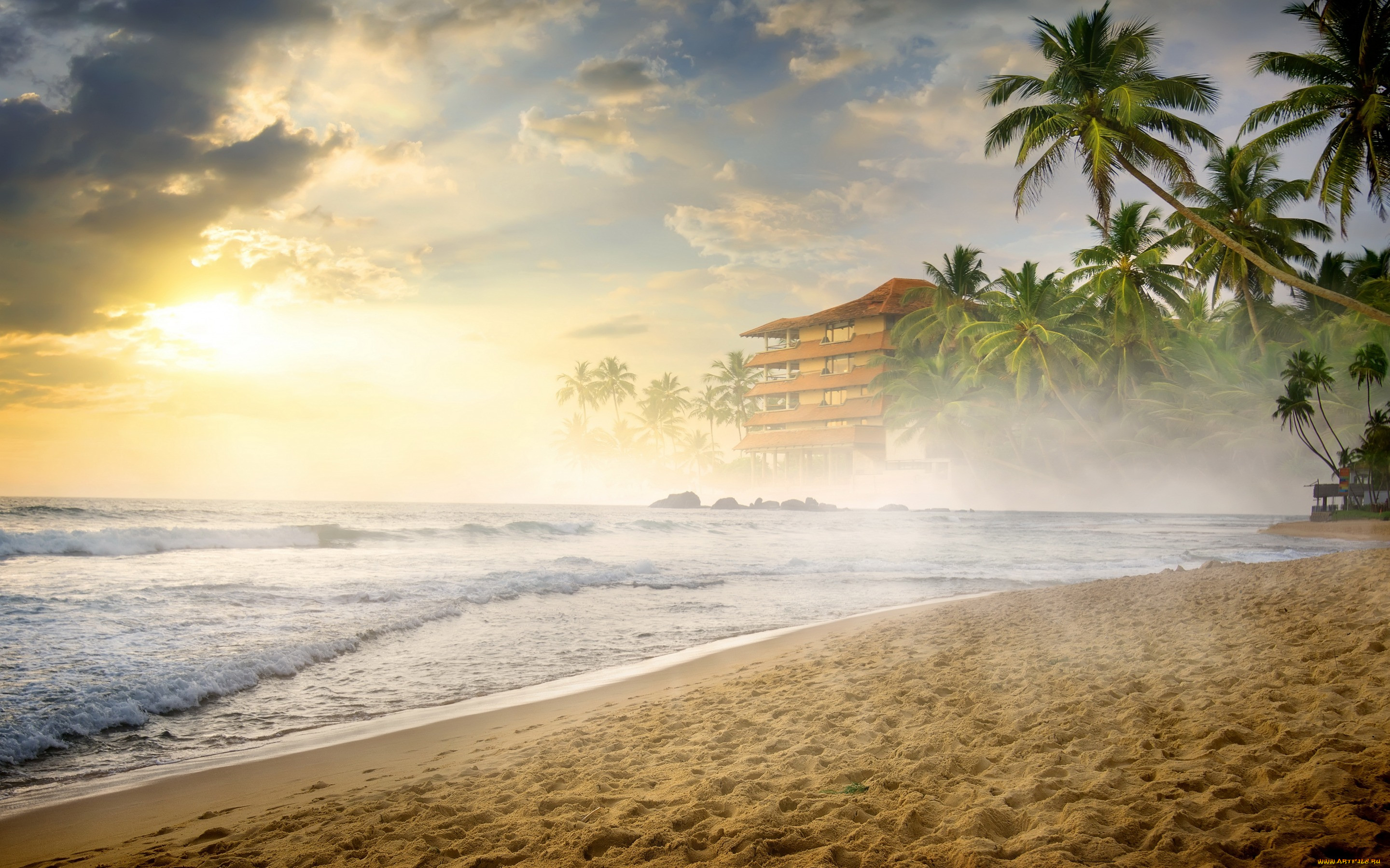 , , summer, beach, , , shore, sea, , sand, palms, , paradise, tropical, 